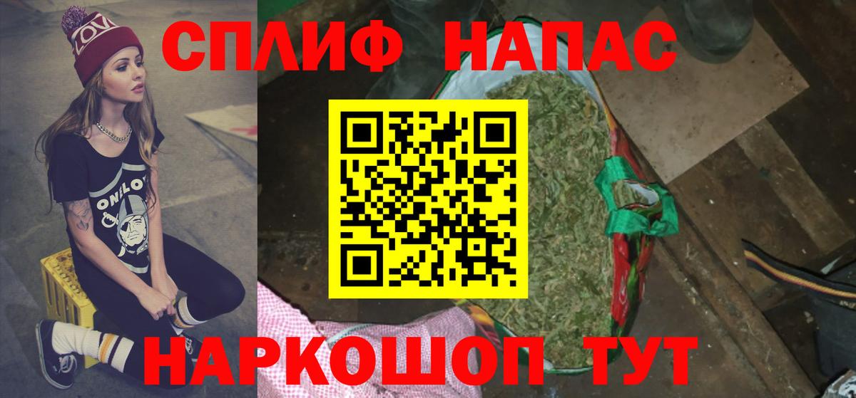 Конопля гибрид Магадан